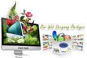  Market Web Designer 