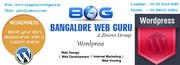 WordPress Website Development Company