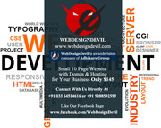 Small 10 Page Website for Your Business Only $145