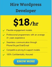 Hire Wordpress Developer