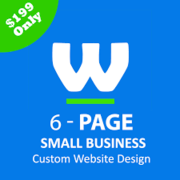 Affordable Website Designer - Custom Website Design For $199 