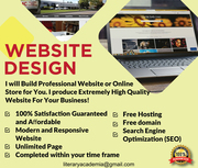 I will Build Professional Website or Online Store for You.