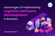 Implement Logistics Software Development in Business To Grow